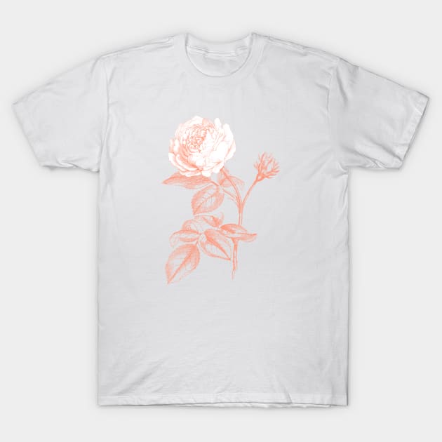 Pink Rose Flower Monochrome Illustration T-Shirt by Biophilia